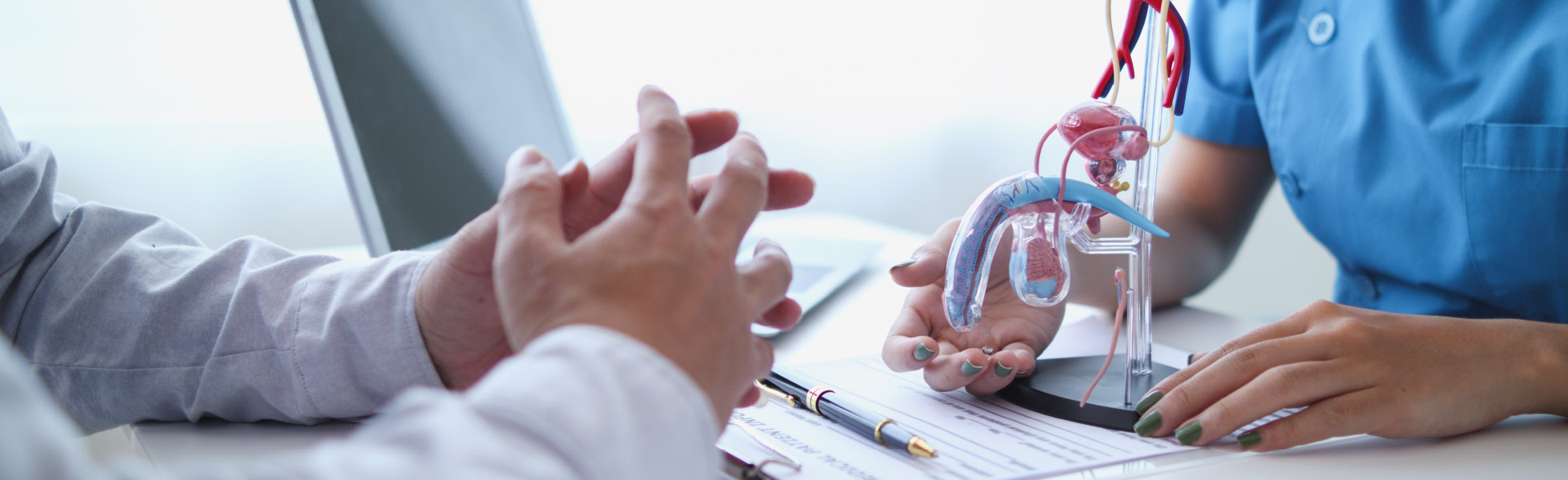 Andrology consultation – male reproductive health, Newcastle clinic, Dr Kate Burston