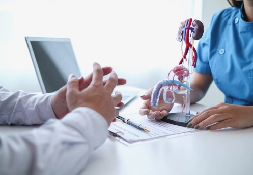 Doctor and patient discussing male reproductive health – andrology Newcastle