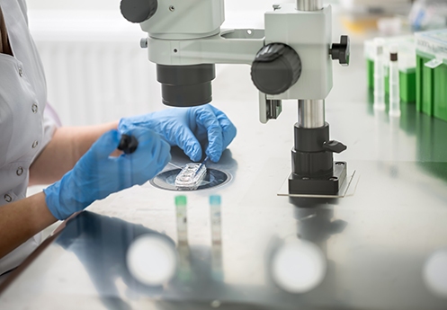 IVF fertility treatments laboratory Newcastle, Dr Kate Burston